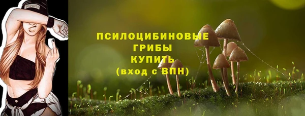 гидропоника Алексеевка